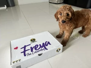 Freya