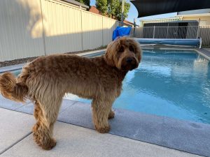 Freya