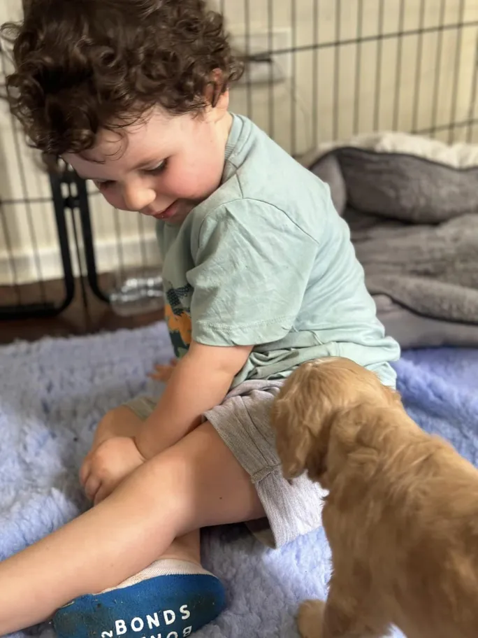 Grandson Laiken
