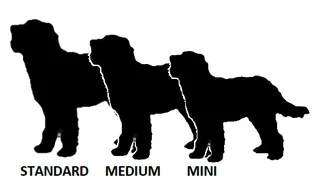 Sizes