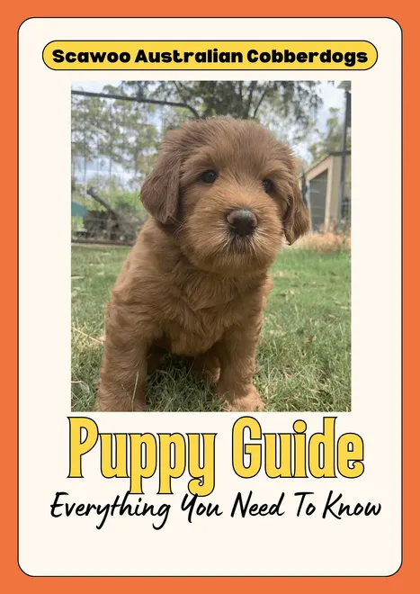 Puppy Guide