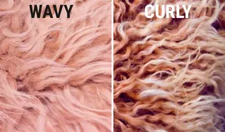 Wavy Curly